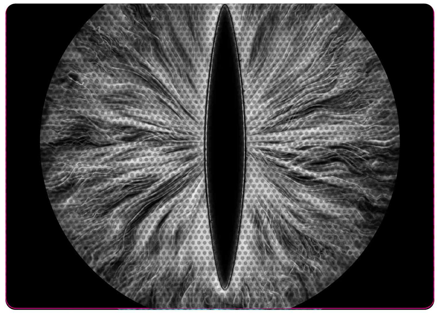 Gray Eye decals for YJ or 5x7 headlights