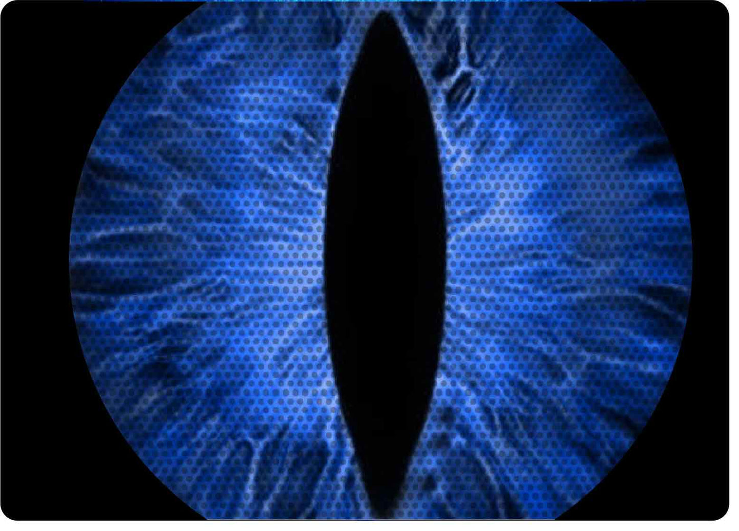 blue cat  Eye decals for YJ or 5x7 headlights