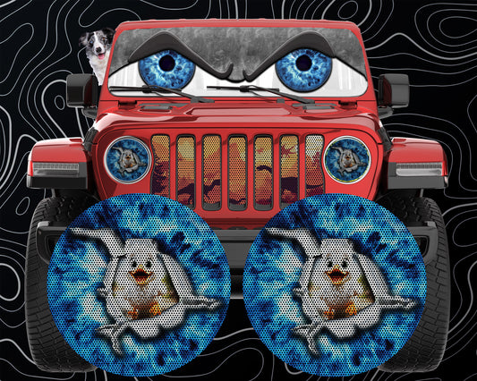 Duck eye round headlight decals