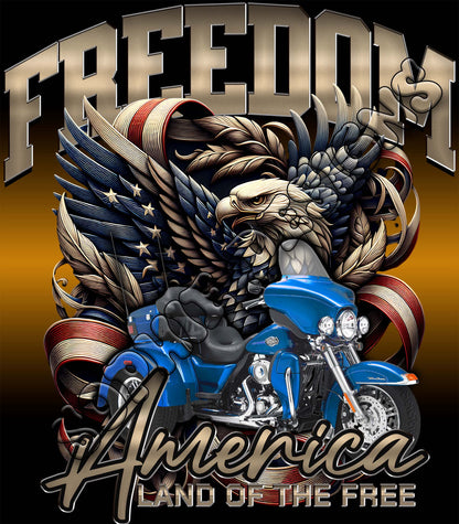 Freedom America Land of the free blue trike