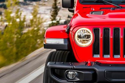 Black and white Flag Turn signal