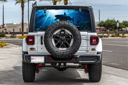 Shark tank Rear window see through graphic.