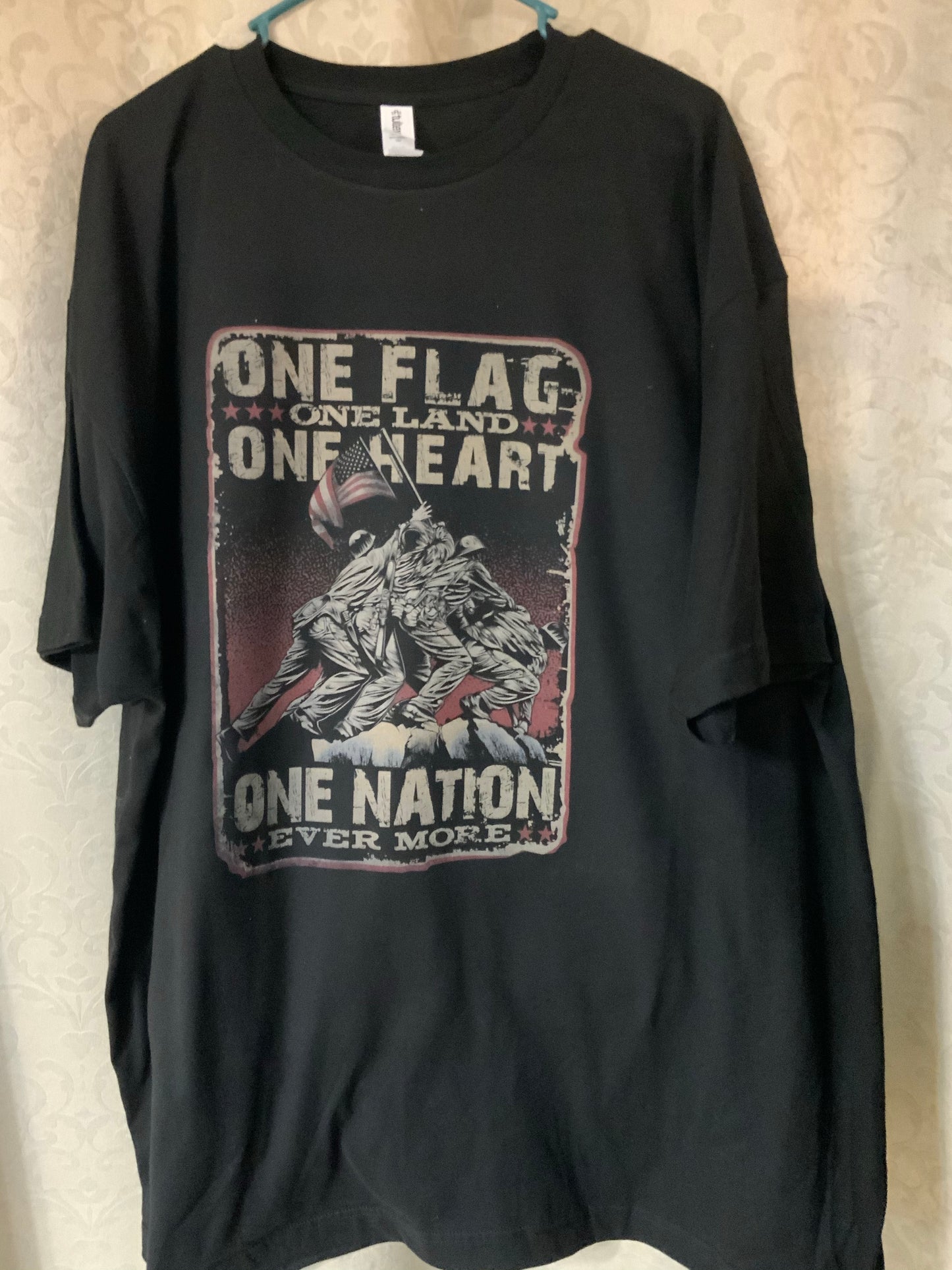 one flag one land